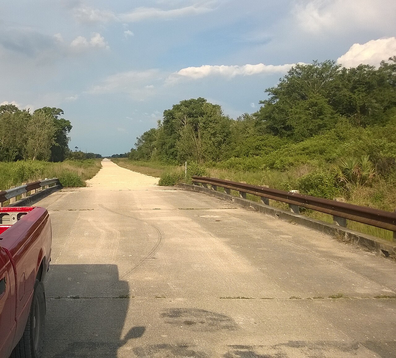 Picayune Strand State Forest — nearby regional scenery